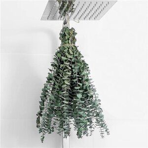 10 Pcs Dried Eucalyptus Stems 17" Real Eucalyptus for Shower Hanging